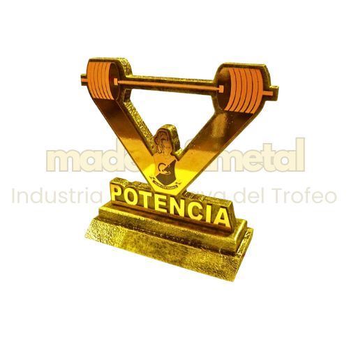 Imagen de Tallado Digital Halterofilia - M1.243